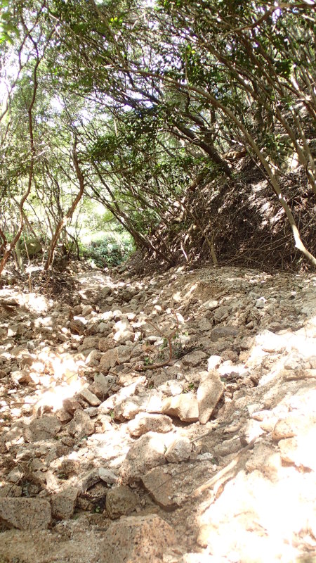 e0024081_13323448.jpg