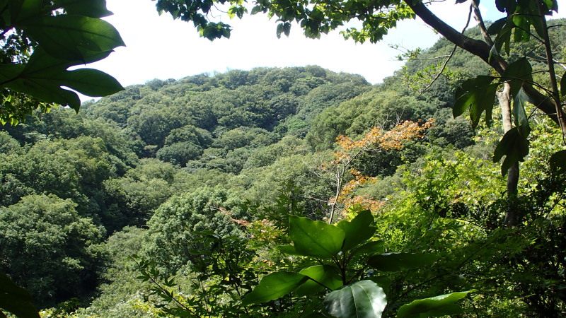 e0024081_13403954.jpg