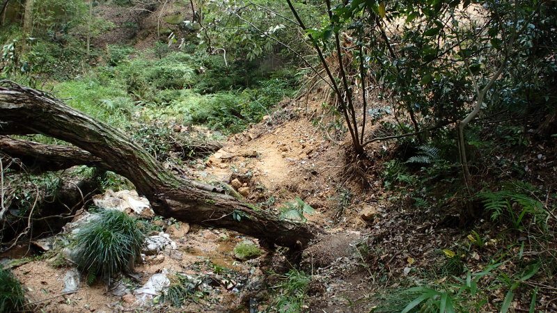 e0024081_13452031.jpg