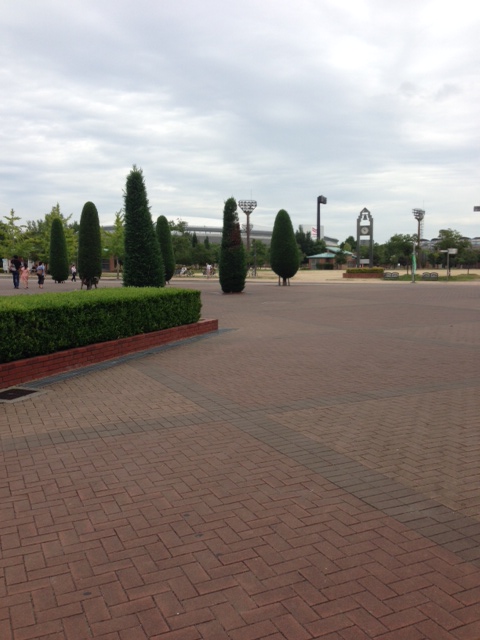 d0134785_1348228.jpg