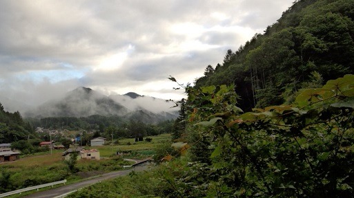 a0130586_904531.jpg