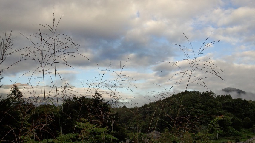 a0130586_9112956.jpg