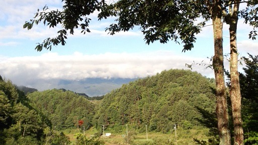 a0130586_9282769.jpg
