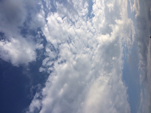 b0349003_09412062.jpg
