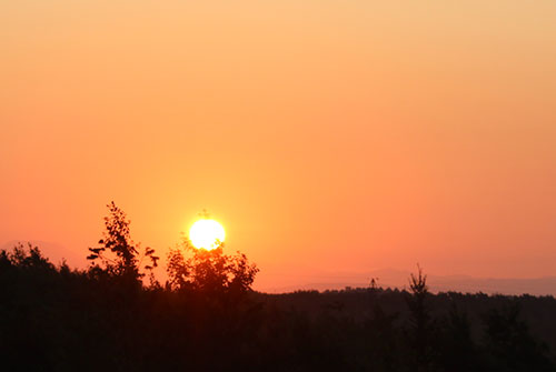 a0139912_14391279.jpg
