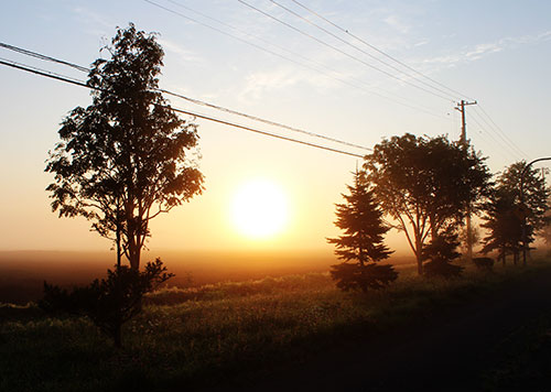 a0139912_1440103.jpg
