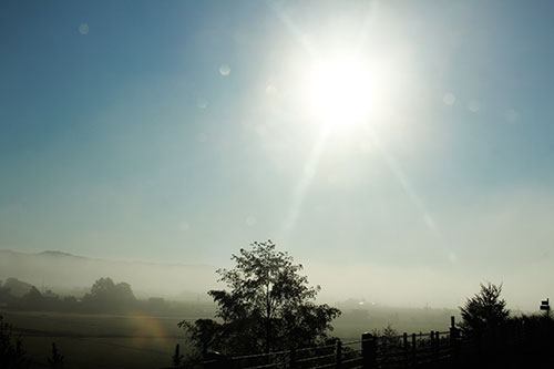 a0139912_14424064.jpg