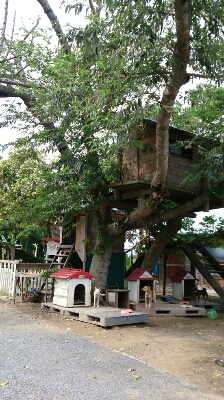 c0117621_21572529.jpg