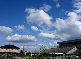 f0097523_2148404.jpg