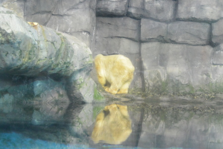 f0344626_09113920.jpg