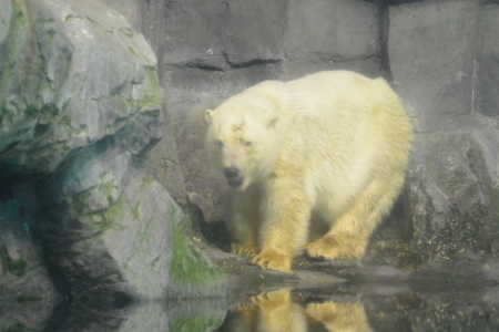 f0344626_09115758.jpg