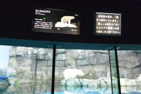 f0344626_09125344.jpg