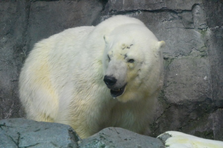 f0344626_09144920.jpg