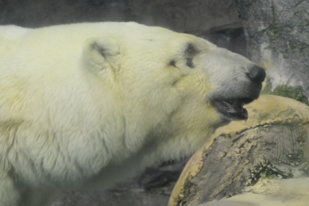 f0344626_09151769.jpg