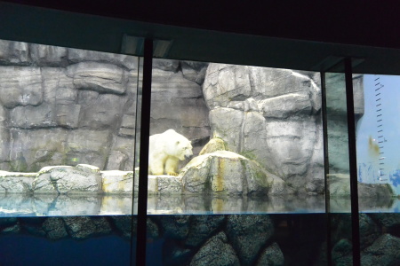 f0344626_09152427.jpg