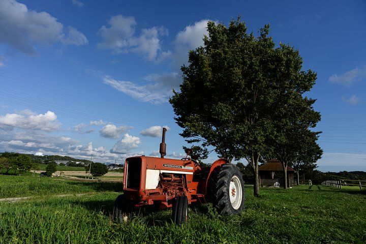 b0134829_17141724.jpg