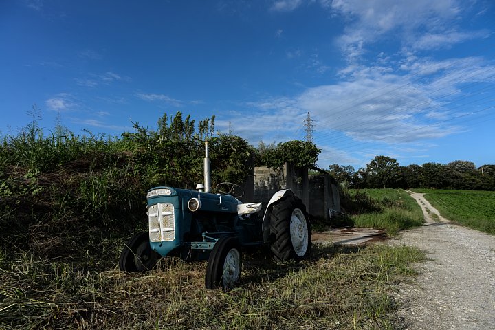 b0134829_17153023.jpg