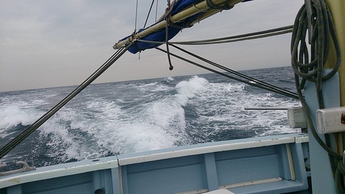 b0173629_17335537.jpg