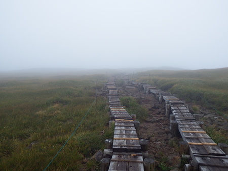 f0118332_1457611.jpg
