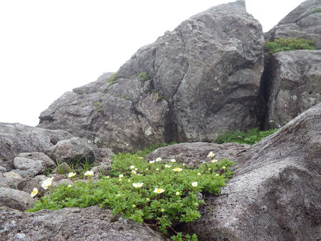 f0118332_15135553.jpg