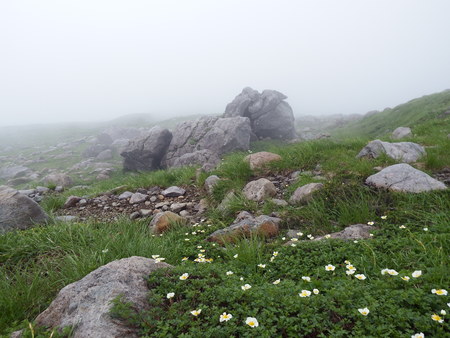 f0118332_15142991.jpg