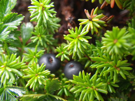 f0118332_15203660.jpg