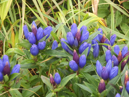 f0118332_1523189.jpg