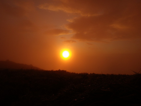 f0118332_15252278.jpg