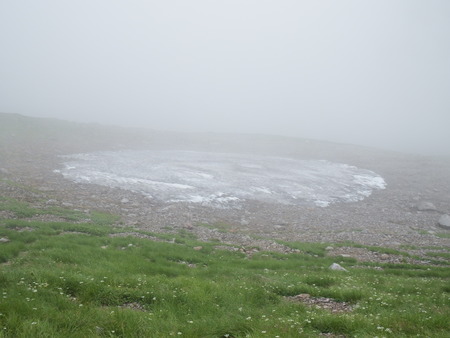 f0118332_1542543.jpg
