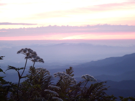 f0118332_1620119.jpg
