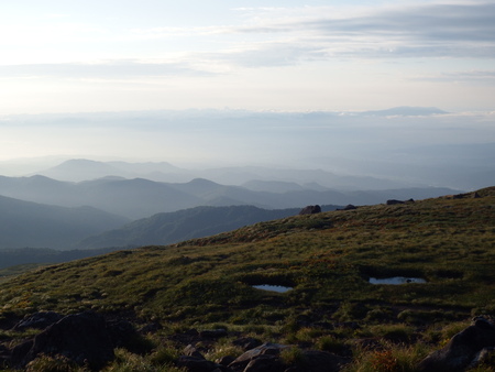f0118332_16302924.jpg