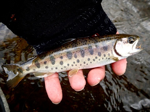 f0280739_038794.jpg