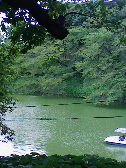 b0031140_19425790.jpg