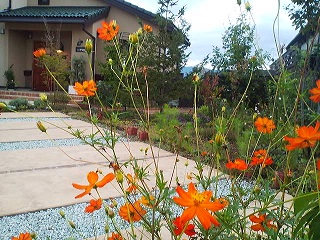 a0272241_17434368.jpg