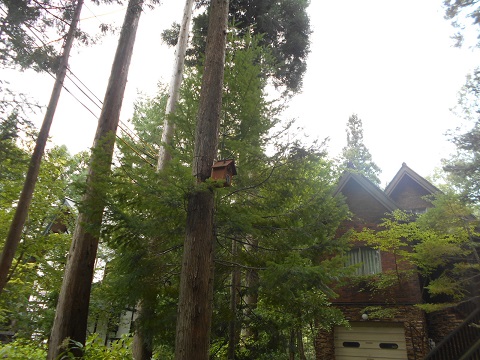 a0124543_18231398.jpg