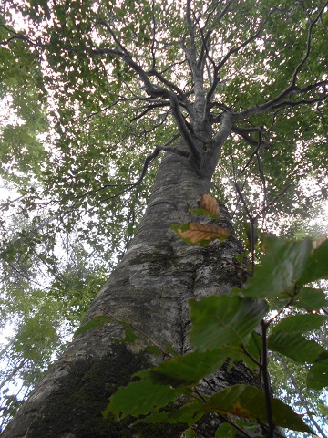 a0124543_1840956.jpg
