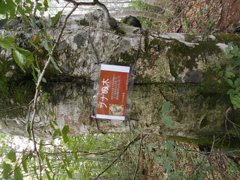 a0124543_18421318.jpg