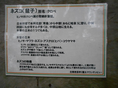 a0124543_1844587.jpg