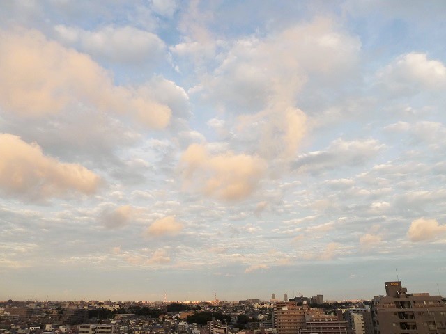 d0288144_01065335.jpg