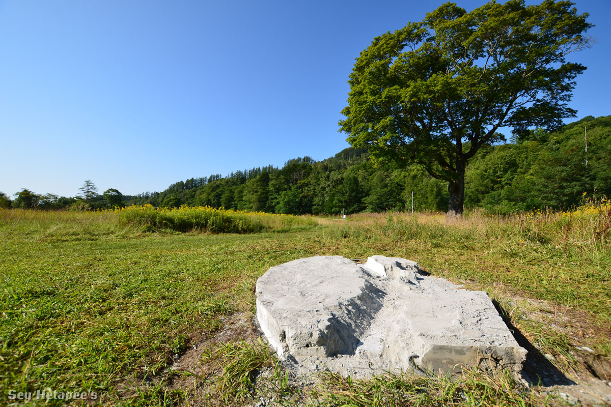 f0166545_21475574.jpg