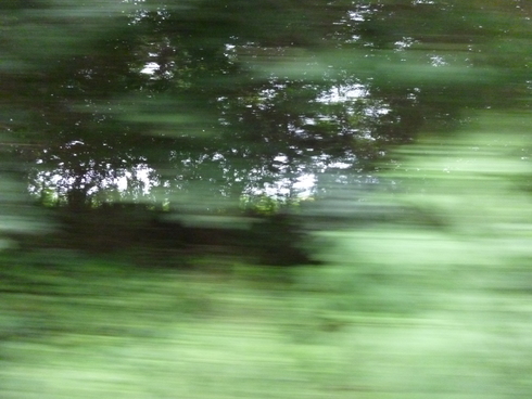 e0002850_1954246.jpg