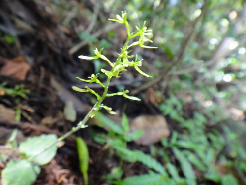 c0179351_20262641.jpg