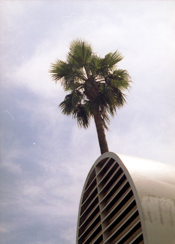 b0157961_195719.jpg