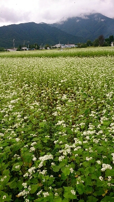 f0046262_8323217.jpg