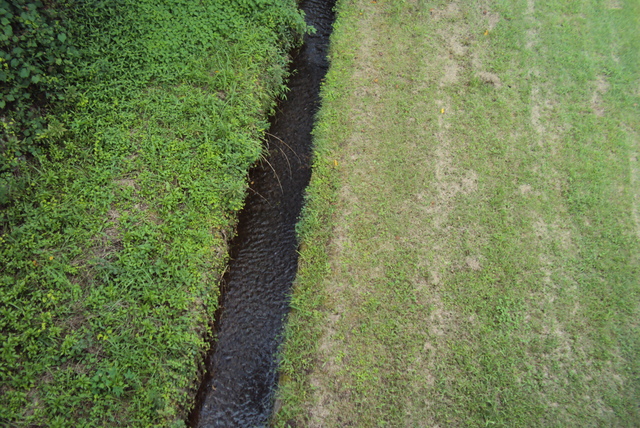 c0099564_16175094.jpg
