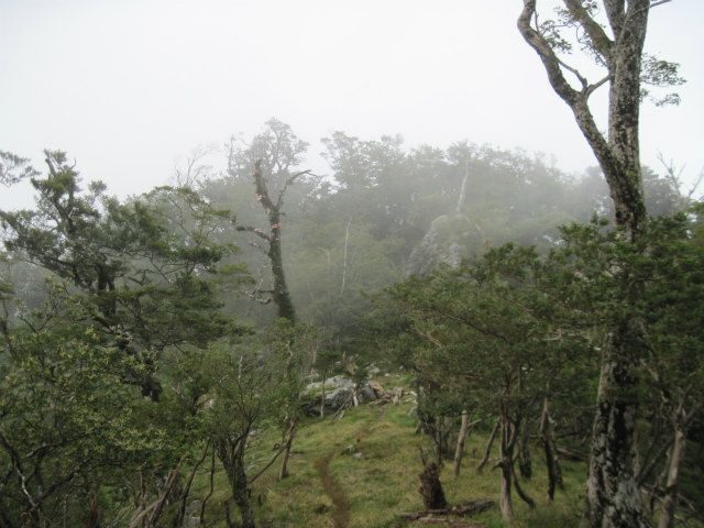 c0219866_18453371.jpg