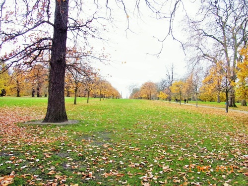 e0195766_23200217.jpg