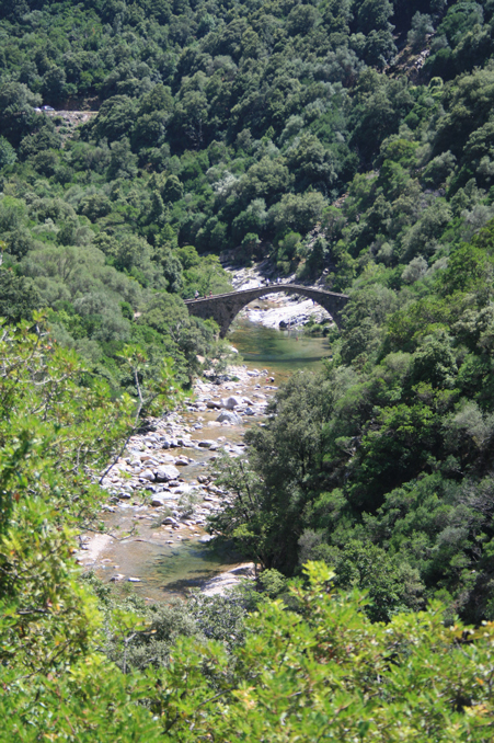 b0120269_18112946.jpg