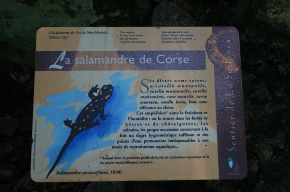 b0120269_18125029.jpg