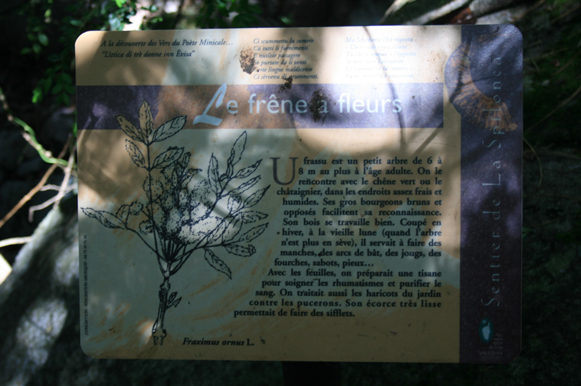 b0120269_18133626.jpg
